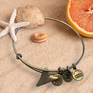 Alex and Ani Shark Fin Charm Silver Adjustable Bangle Bracelet